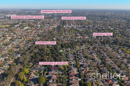 17 Montana Street Glen Iris