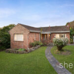 19 Dion Street Glen Iris