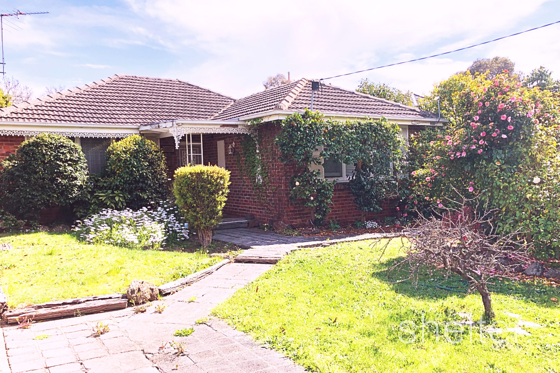 44 Nicholas Street Ashburton Shelter Real Estate