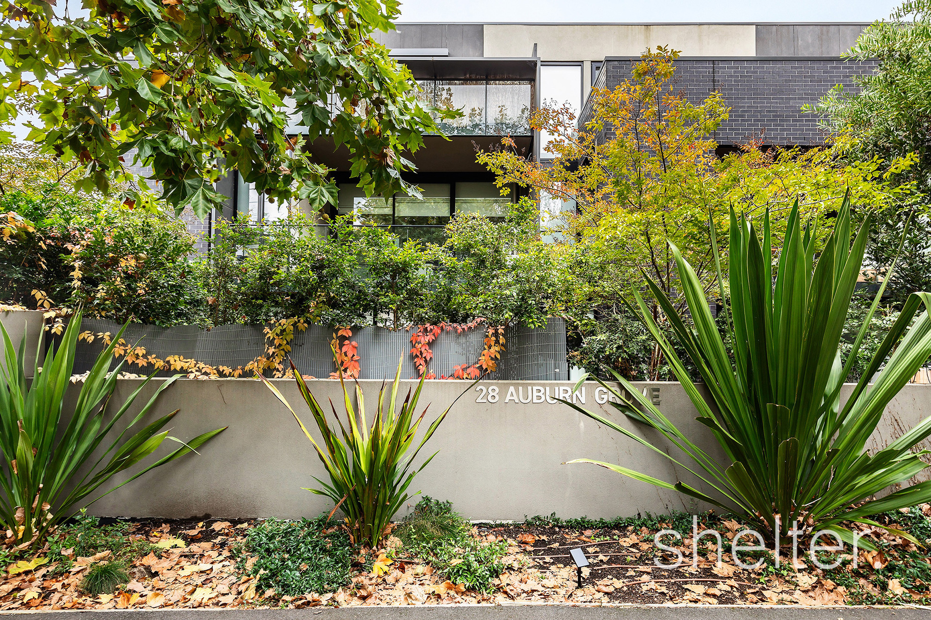 206/28 Auburn Grove Hawthorn East
