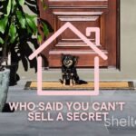 31 Park Road Glen Iris