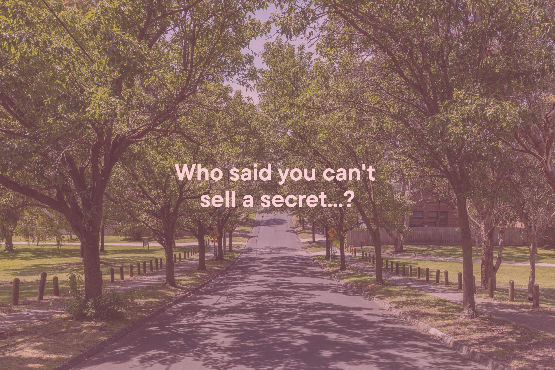 35 Munro Avenue Ashburton