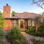 8 Audrey Crescent Glen Iris
