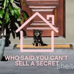 8 Britten Street Glen Iris