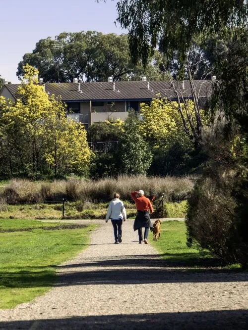 Hawthorn East Real Estate
