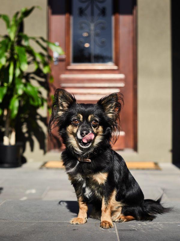 Ruby